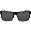 Matte Dark Tortoise