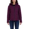 Purple Tulip