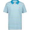 Coast Stripe Hawiian Ocean