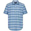 Spring Check Blue Tint