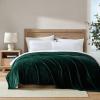 Solid Dark Green
