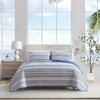 Pembrook Blue