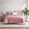 Seahorse Stitch Pink