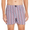 Geo Fish Print - Rwb