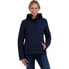 Navy Seas