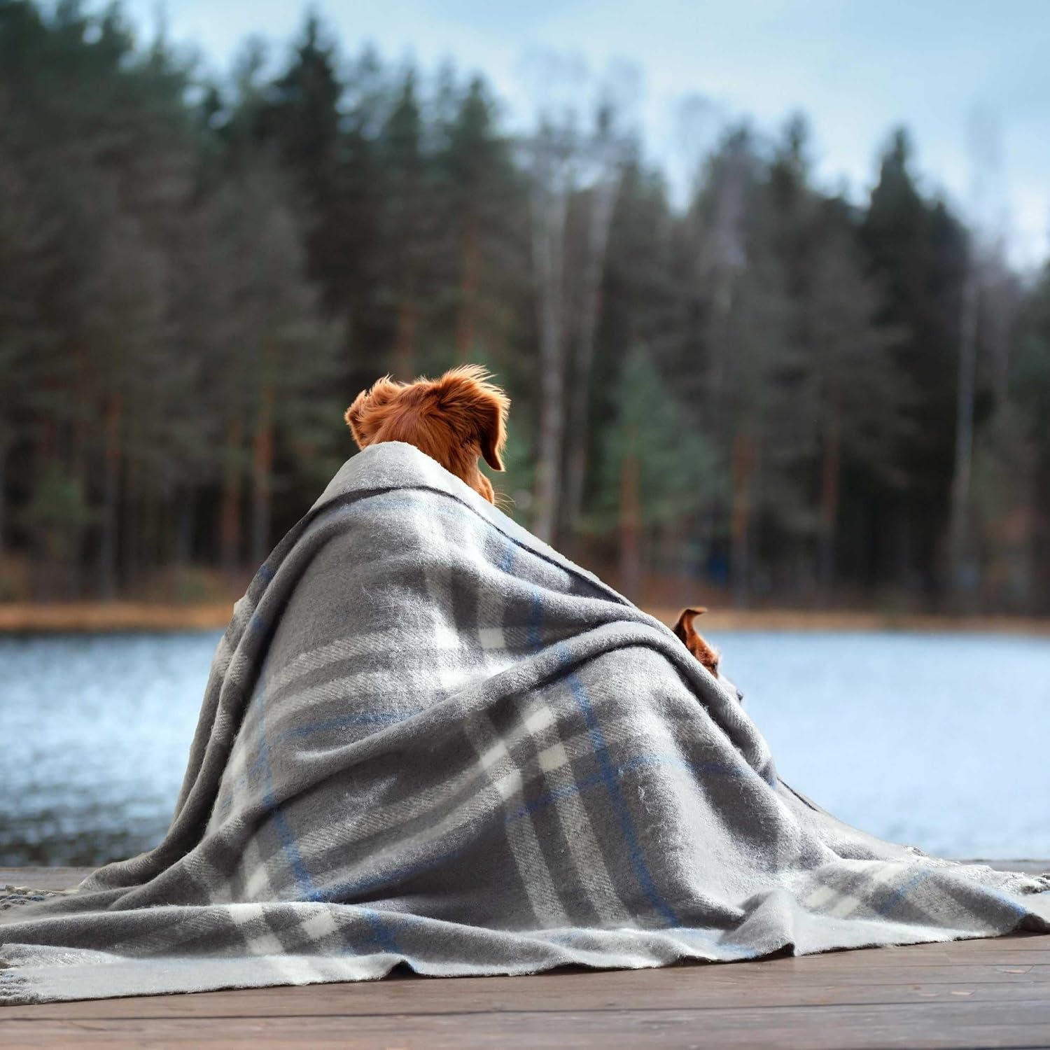 image:imageNautica Blanket Faux Mohair Throw Blanket for Bed or Couch YarnDyed with Soft Textured Feel Medium Weight for Year Round Ryan Cove Plaid Blue 50 x 60Ryan Cove Plaid Grey
