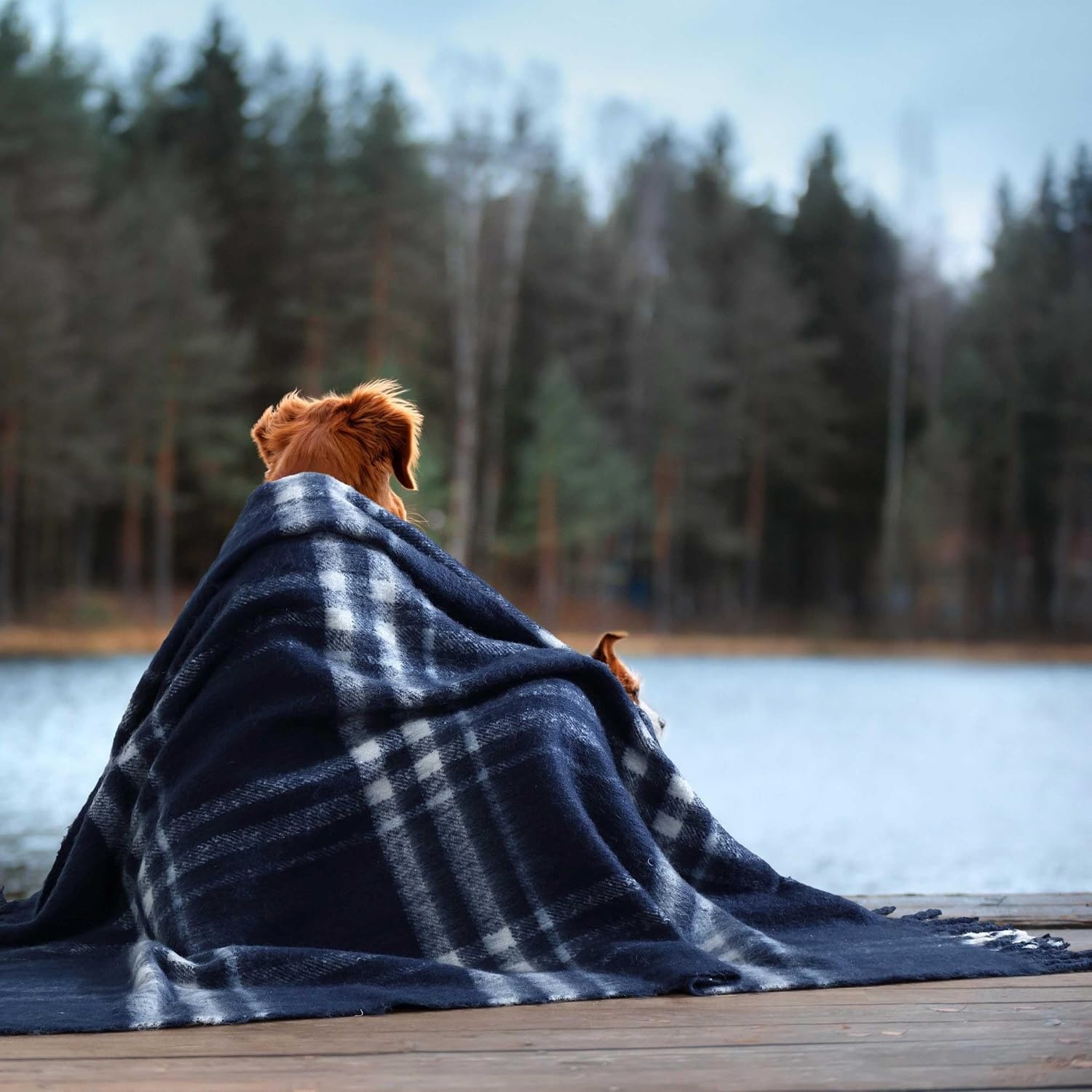 image:imageNautica Blanket Faux Mohair Throw Blanket for Bed or Couch YarnDyed with Soft Textured Feel Medium Weight for Year Round Ryan Cove Plaid Blue 50 x 60Ryan Cove Plaid Blue